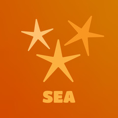 Sea shells and starfish nature marine vector