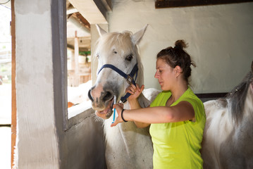 Young veterinarian girl  on a farm giving a medicine to a white mare