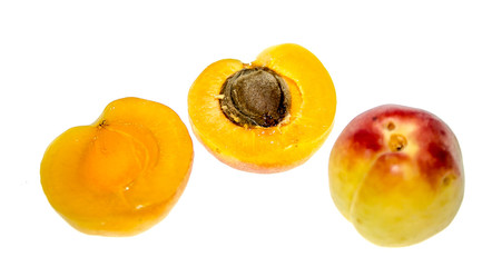 Apricot on a white background