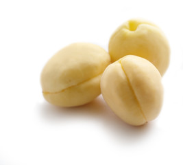 Tree Fresh apricots with leaf close-up isolated on a white background.