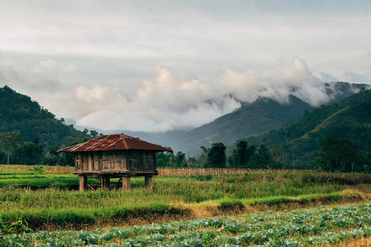 Timber house covered by rusty roof in the local farm.
