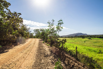 Obraz premium Green Field and land street in Pirenopolis