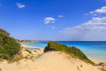 Summer seascape,Apulia coast: Marina di Lizzano beach (Taranto). The coastline is characterized by a alternation of sandy coves and jagged cliffs overlooking a truly clear and crystalline sea.