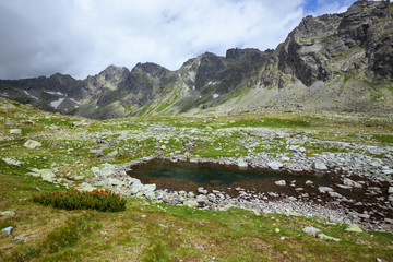 Fototapeta na wymiar High mountain and natural small lake- landscape