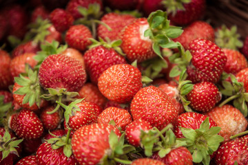 fresh ripe strawberries crop