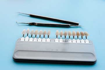 Dentistry, tooth color selection tools.