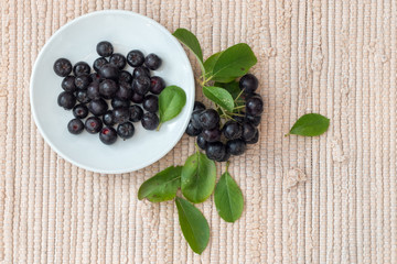 Close up of Aronia melanocarpa berries (black chokeberry) with leaves in white dish on textile background