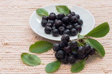 Close up of Aronia melanocarpa berries (black chokeberry) with leaves in white dish on textile background