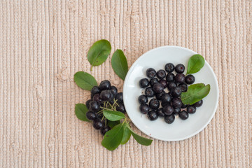 Close up of Aronia melanocarpa berries (black chokeberry) with leaves in white dish on textile background