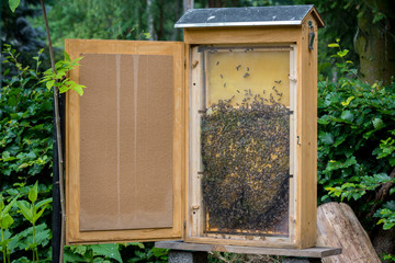 Bienenschaukasten bzw. Schaubeute zur Vorführung für Besucher der Imkerei