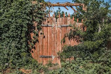 A fairy gate to the secret garden. Abandoned overgrown garden