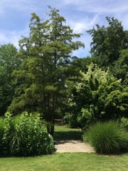 Arbres jardins de martels