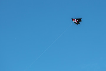 Pirate flying kite