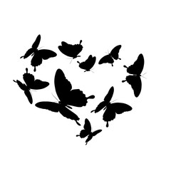 black butterfly,heart, isolated on a white