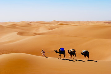 Voyages