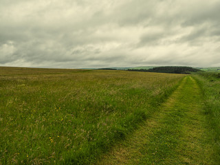  summer countryside morning,Northern Ireland