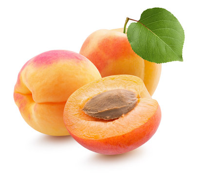 apricots isolated on a white background