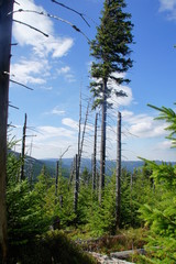 Obraz premium Karkonosze