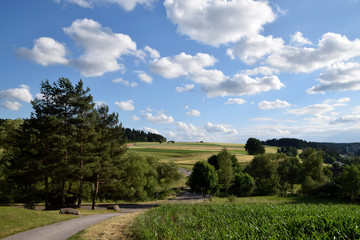 Fototapeta na wymiar Summer landscape, Black forest, Germany