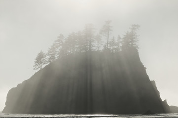 Sea Stacks at Second Beach in the fog, Olympic NP, Washington