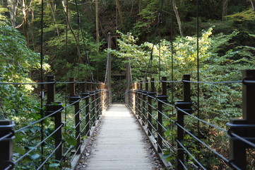 Pont suspendu japonais