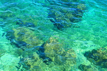 Fototapeta na wymiar Emerald Green Water
