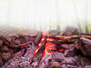 Crimea. The black sea