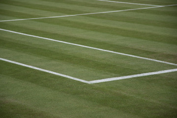 Tennis court