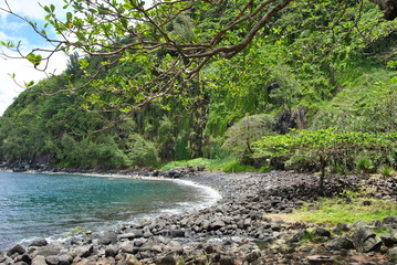 Fototapeta na wymiar Anse des Cascades Ile de la Réunion