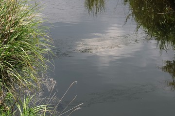 環境問題・河川