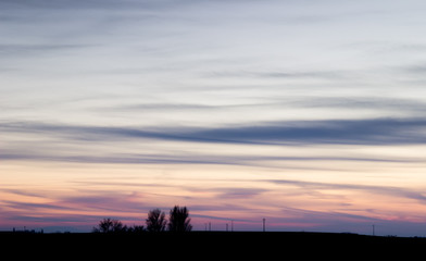 Grove silhouettes at sunset in the countryside, with purple clouds sky