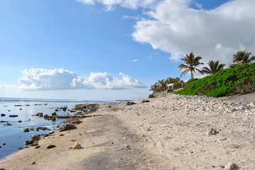 Plage souris chaude île de la Réunion