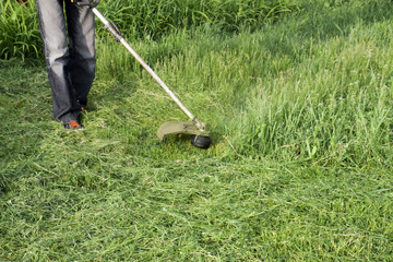 Application trimmers. Mowing green grass using a fishing line trimmer