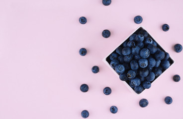 Fresh picked blueberries on pink trendy background.