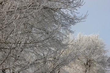 FAUCONCOURT - VOSGES - DECEMBRE