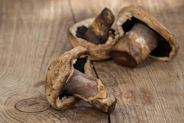 Dried mushrooms on wooden background