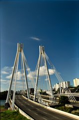 Cable-Stayed Bridge