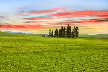 Palouse landscape with colorful sky background