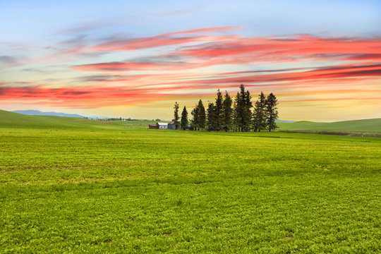 Palouse landscape with colorful sky background