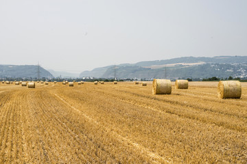 Fototapeta premium harvested field agriculture with straw bales during summer germany near Andernach