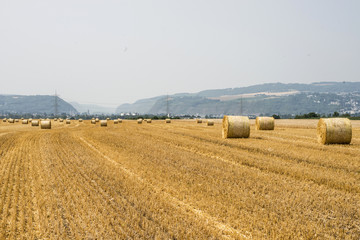 harvested field agriculture with straw bales during summer germany near Andernach