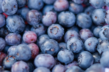 fresh blueberry background , blueberries closeup