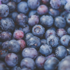 blueberry background , blueberries closeup