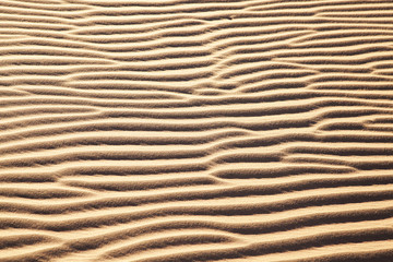 Sossus Dunes Sand Ripples, Namibia