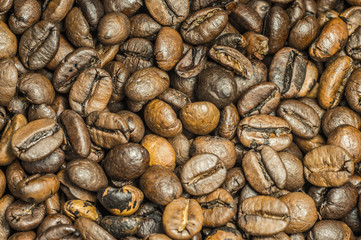 brown coffee beans background with high detail