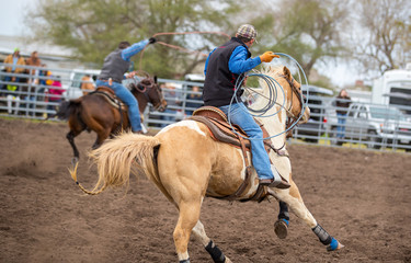 Cowboys roping at the Ranch Rodeo in Willacy County TX