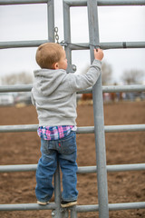 Obraz premium Cash Cotton checks the security on the gate to the rodeo grounds.