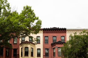 Row houses in the Washington DC neighborhood of Bloomingdale on a summer day.