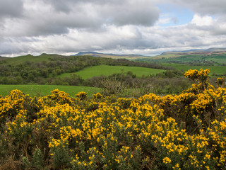 Rolling meadows, Cumbria, England