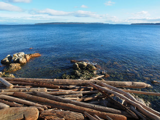 View from the rocky beach on Vancouver Island, Canada